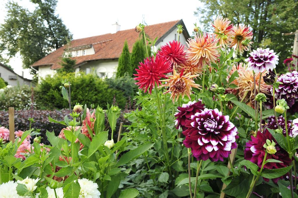 Agroturystyka Orzechowe Wzgorze Orzechowo  Exterior foto