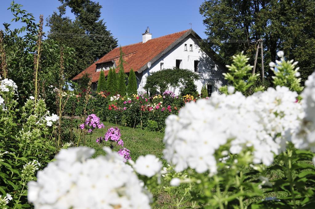 Agroturystyka Orzechowe Wzgorze Orzechowo  Exterior foto