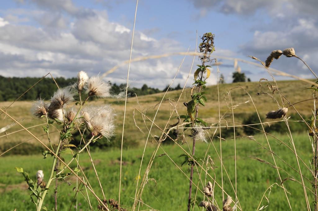 Agroturystyka Orzechowe Wzgorze Orzechowo  Exterior foto